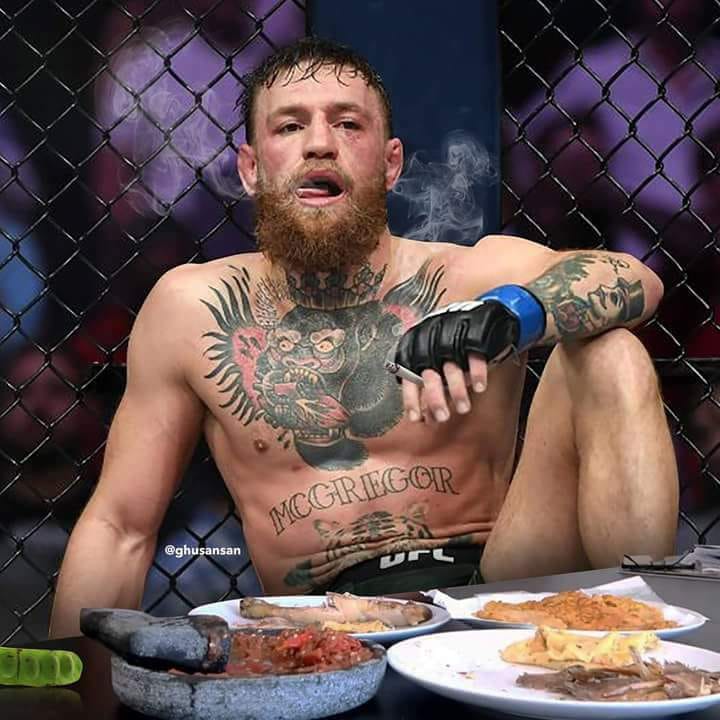 Kocak Parah Meme Mc Gregor Setelah Kalah Dari Khabib